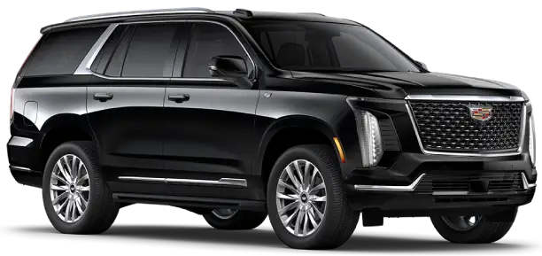 premium boston black car service